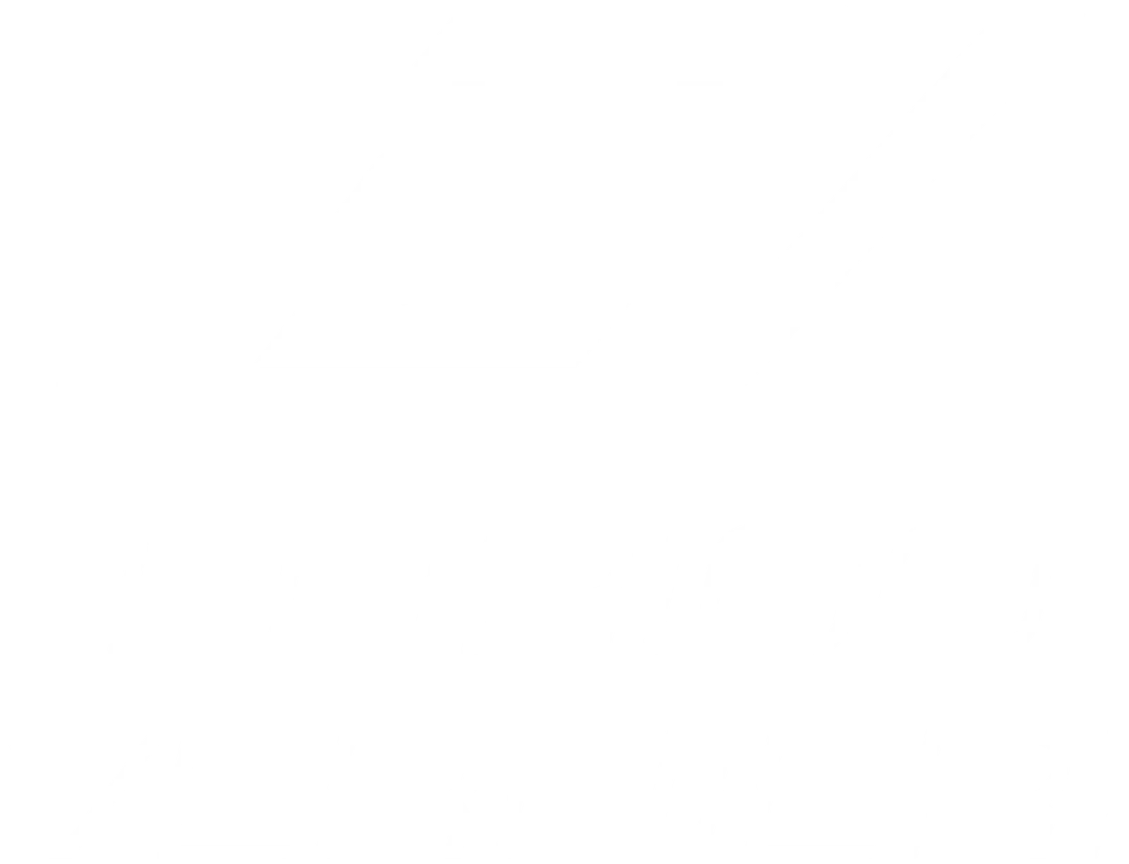 Enrico Vernieri